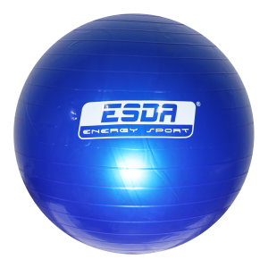 BALON GYM 55CM ESDA