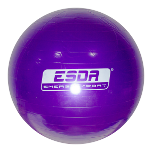 BALON GYM 65CM ESDA